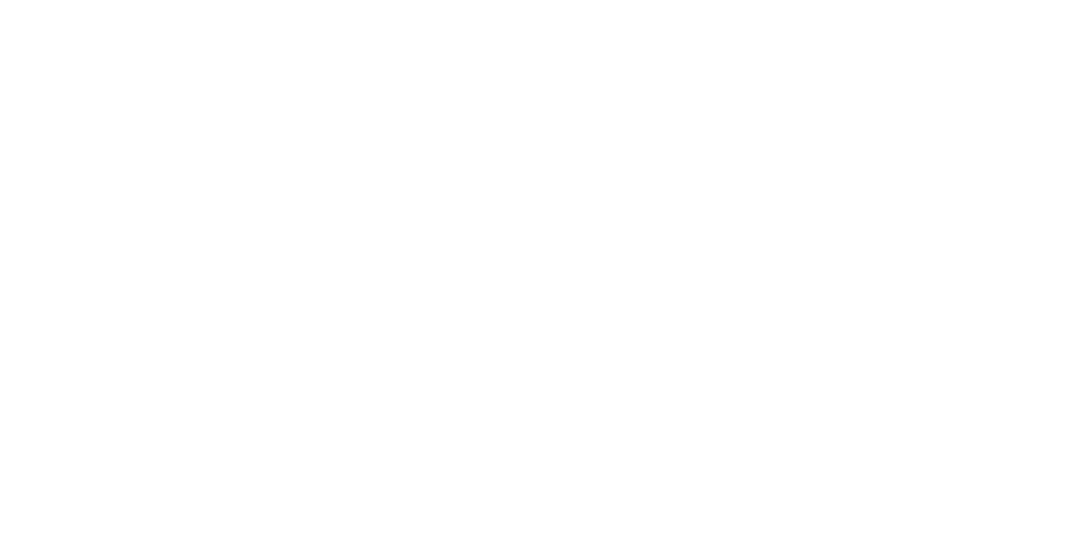 Professional description